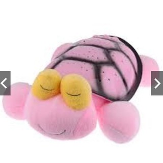 SNAIL TURTLE WITH USB (1)