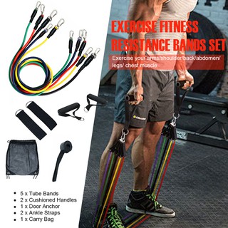 11PCS Resistance Bands Set for Physical Therapy, Resistance Training, Home Workout