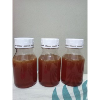 Trigona Honey / Belly / Knee / Honey 100% Natural / Honey 250ml