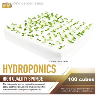 ❡FV Hydroponics Foam 4cm Height 10/100 Cubes | hydroponic horticultural foam rockwool rock wool