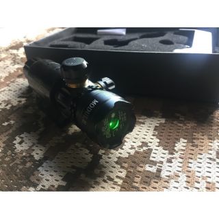 green dot laser set with mount charger and rat tail switch