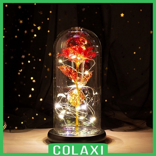 [COLAXI] 7 Colour Beauty And The Beast Red Rose In A Glass Dome On A Wooden Base For Valentine's Gifts LED Rose Lamps Enchanted Rose Light Artificial Flower Valentine\'s Day