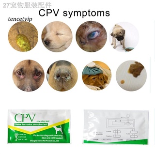 ✆►【Vip】Home Pet Dog Cat Health CDV/CPV Virus Canine Distemper Test Paper Detection Tool
