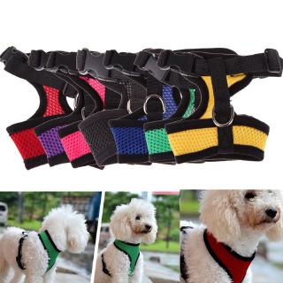 Cute Dog Harness Puppy Fashion Mesh Vest + Leash Lead Set