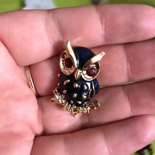 Black Enamel Owl Brooches for Women Red Eye Animal Brooch Pin Summer Bird Fashion Jewelry