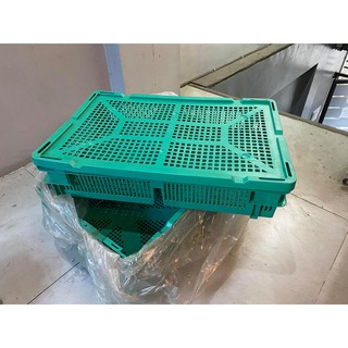 3 pcs Green Day Old Chick Plastic Crate with cover (2 Partitions) Good for 100 chicks!