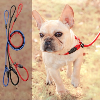 Dog leash dog rope dog leash and collar dog collar and leash leash for dog leash for puppy