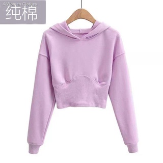 ✱✷100% cotton hooded waist short sweater women s long-sleeved 2021 early autumn new style Korean cas (1)