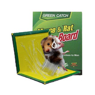 Mouse Rat Glue Trap Rodent Expert/Rat Glue Snare Sticker Mice Board COD
