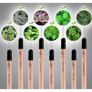 Sprout Pencil — The Plantable Pencil (1)