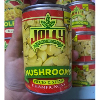 JOLLY MUSHROOM PIECES AND STEMS 284G