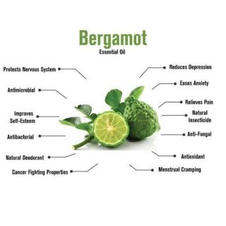 Bergamot Essential Oil 30ml and 100ml - Direct Factory Supplier