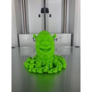 3D Printed Shrek Octopus