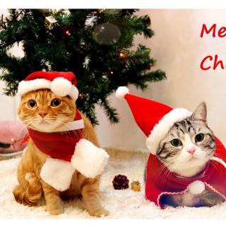 [ Ready Stock ] 2PCS/ Set Santa's Hat Scarf Christmas Dog Cat Puppy Outfit Festive Holiday Pet Costume Perfect