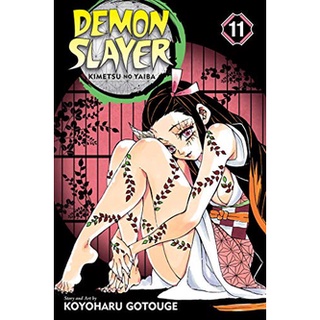 Demon Slayer: Kimetsu no Yaiba V11