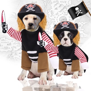 Pirates Turned Into Large Dogs, Dogs, Cats, Cats, Pets