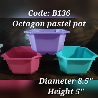 octagon pastel po here