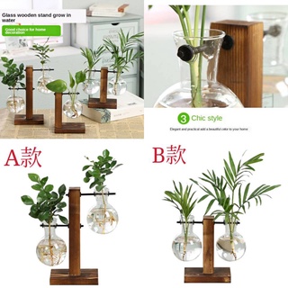 Planter Terrarium Tabletop Bonsai Hydroponic Plant Vases (6)