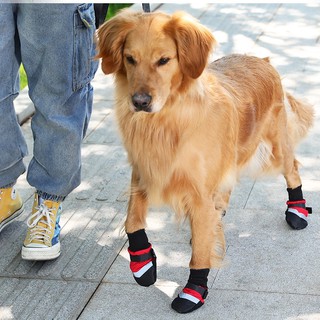 ♛♗┇big dog shoes anti-dirty giant golden hair Samoyed Corgi Medium Large Dog Shiba Inu Socks Spring