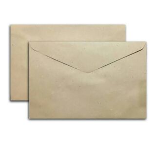 Brown Envelope - Kraft (S/L) 10P