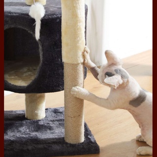 (CASH ON DELIVERY) Luxury Cat Condo Cat Bed Cat home Cat Condo (6)
