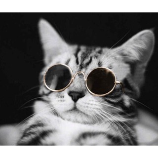 Pet Cat Dog Cat Rabbit Goggles Eyewear UV Protection Sunglasses Eyewear