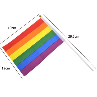 Rainbow LGBT Gay Pride Carnival Festival Hand Waving Flags (3)