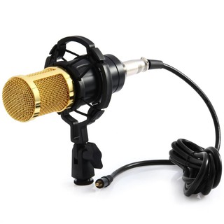 Condenser Sound Recording Microphone with Shock Mount for Radio Braodcasting