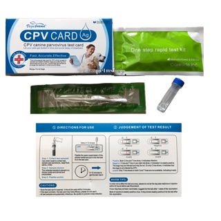 CPV Canine Parvo Virus Test Kit (1)