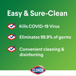 Clorox Expert Disinfecting Wipes Fresh Scent - Flow Pack 30 Wipes x 2 Packs (4)