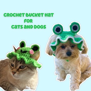 Frog Hat for Pets (dog, cat)