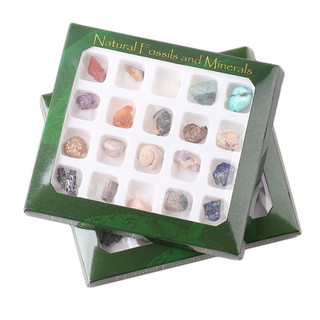 Rondaful Polished Healing Natural Crystal Gemstone Ore Fossil Set Ornament (4)