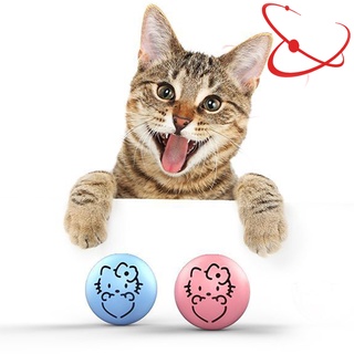 Cat Toy Ball With Catnip and Bells Interactives Hollow Training Chasing Toy For Cat Kitten