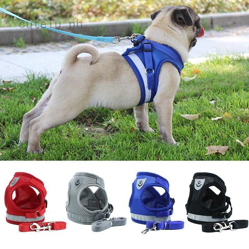 Cat Walking Jacket Harness and Leash Pets Puppy Kitten Clothes Adjustable Vest