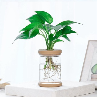 sinana Plastic Plant Pots Lazy Transparent Flower Pot Transparent Pot Automatic Water absorbing Flowerpot Imitation Glass Flower Pots (5)