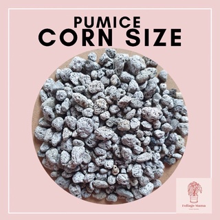 Pumice - Corn size 1kilo