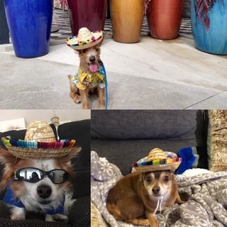 Cute Mini Puppy Dog Cat Straw Woven Sun Hat Cap Mexican Sombrero Pet Supplies Cute Costume for Dogs Adjustable (9)