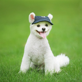 TRANQUILLT Pet Hat Fashion Solid Color Adjustable Baseball Cap For Large Medium Small Dog Summer Dog Cap Sun Hat Outdoor Hiking Pet Product Dog Caps (2)