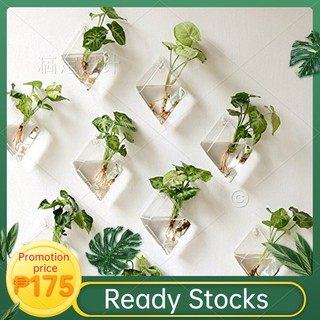 Creative Wall-Hanging Glass Vase for Hydroponic Plants Home (1)