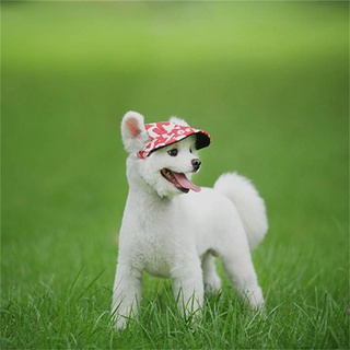 Dog Sun Hat Baseball Cap Pet Hat Teddy Corgi Hair Fighting Dog Hat Small Dog Large Dog Peaked Cap Pet hat (4)
