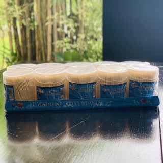Bamboo Toothpick 10packs With Container High Quality
