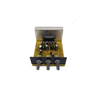 Wei Yu 40W Mono Type Assembly Amplifier