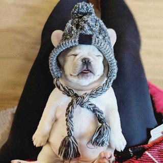 ✳Winter Warm Knitted Pet Dogs Hats Windproof Dog Hats Dog Beanie Knit Cap Christmas Clothes Accessor (1)