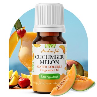 Garden Lab Cucumber Melon Fragrance Oils for Diffuser, Humidifier, Soap, and Candle Making (1)