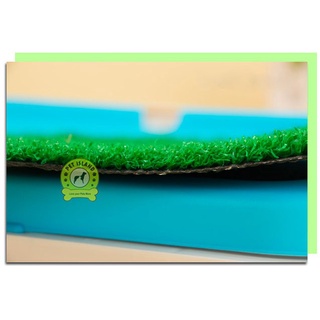 ❄Fake grass / lawn pad for insert of potty trainer