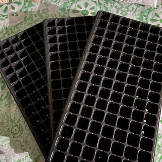3 Piece Set Seedling tray for Propagating Vegetables and flower plants (105 holes)