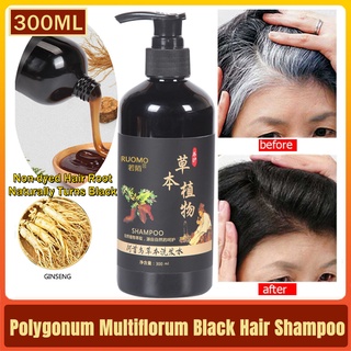 Black Hair Shampoo Polygonum Multiflorum hair colors white hair turns to black Plant Shampoo 300ml