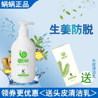 Snail ginger shampoo, anti-hair loss men and women pure ginger shampoo, anti-dandruff, anti-itch, (2)