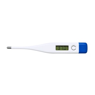 Digital Thermometer without Case (2)