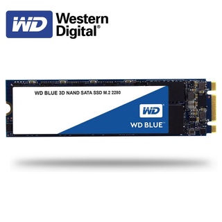 WD BLUE Internal SATA M.2 2280 SSD 250GB 500GB NGFF Solid State Drive hdd 1TB Internal M.2 2280 ssd